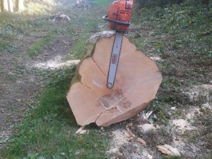 Bild 2:Holzschlägerung