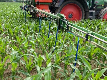 Bild 2:Unterblattspritzung