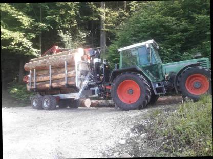 Bild 4:Holzschlägerung