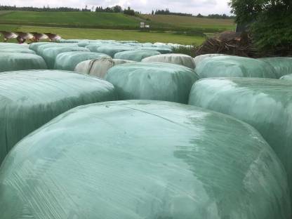 Silageballen