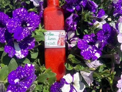 Bild 3:Selbstgemachte Produkte