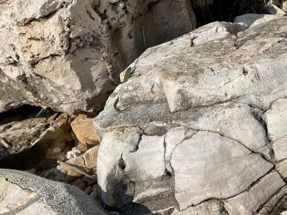 Bild 7:Dolliachse mit Hydraulikversorgung