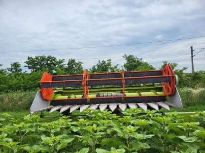 Bild 6:Claas Sonnenblumenschneidwerk