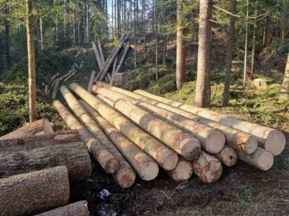 Holzschlägerung und -bringung