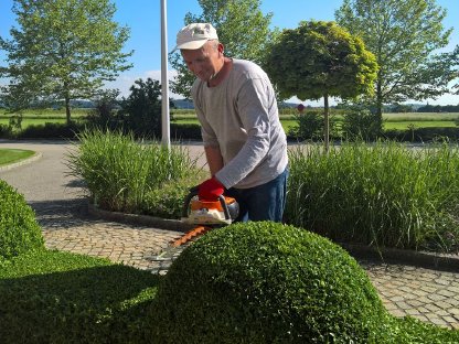 Bild 3:Jungesbestandspflege / Grünraumpflege