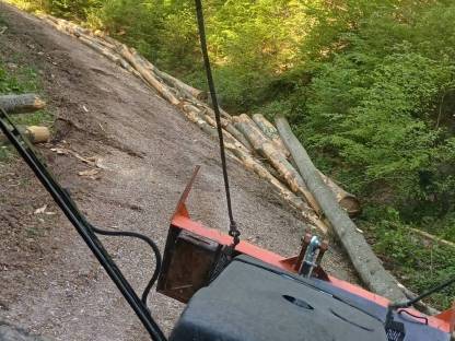 Bild 5:Forstarbeiten/Vorschlägern