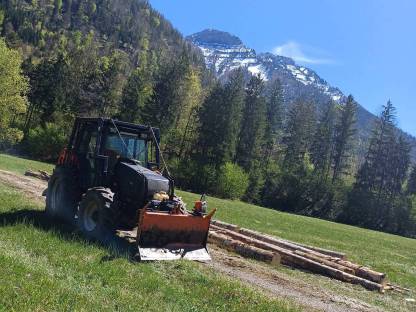 Bild 6:Forstarbeiten/Vorschlägern