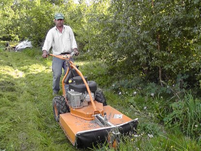 Bild 2:Jungesbestandspflege / Grünraumpflege