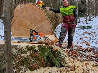 Bild 8:Forstarbeiten/Vorschlägern