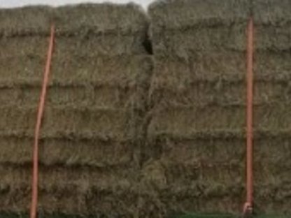 Bild 2:Quaderballen 3. Schnitt