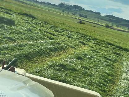 Bild 2:Mäharbeiten / Mähkombinationen / Lohnarbeit