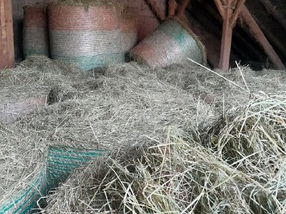 Bild 3:Gärheu