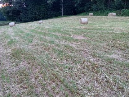 Bild 5:Heuballen 2025