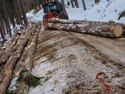 Bild 9:Forstarbeiten/Vorschlägern