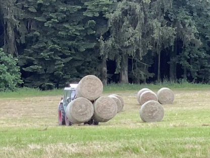 30 Ballen Heu . Erste Schnitt