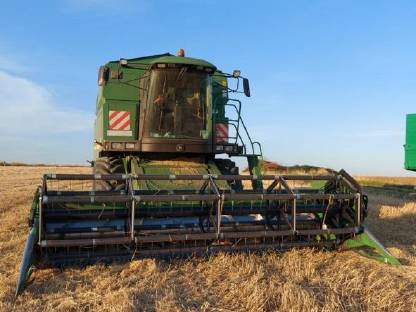 Bild 2:Lohndrusch Flächen Bezirk Waidhofen an der Thaya