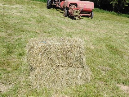 Bild 2:Heu, Heuballen, Quaderballen, Kleinballen