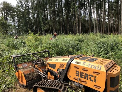 Bild 8:Jungesbestandspflege / Grünraumpflege