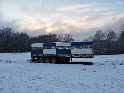 Bild 5:Honig in großen Mengen