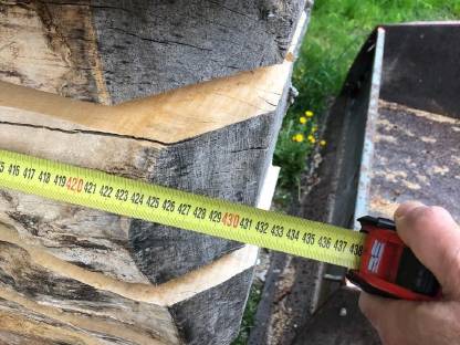 Bild 6:Ahorn Pfosten