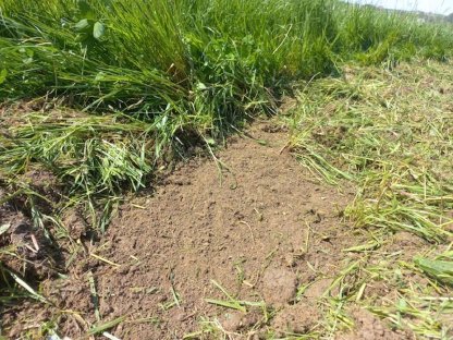 Bild 7:Geohobel 300 XL (3 m) mit Säschiene 24 Lemken Doppelscheiben