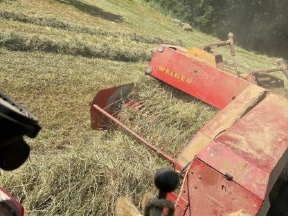 Bild 3:Heuballen 2025