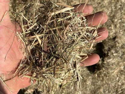 Bild 2:Hexel-Heu in Quaderballen 90er