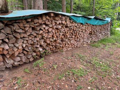 Fichten Brennholz