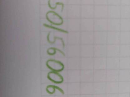 Bild 3:Fettpumpe
