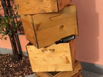 Bild 2:Zander Jumbo Beute