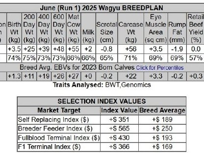 Bild 2:H O M E R U N – Der Volltreffer für deine Herde