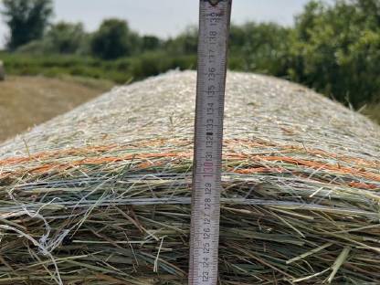 Bild 7:Heu 1. Schnitt