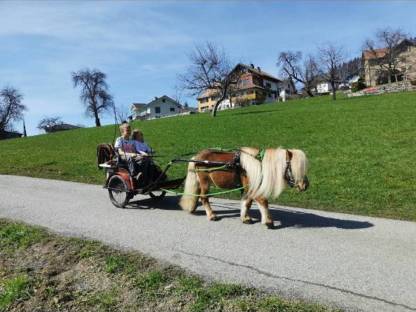 Verkaufe Pony