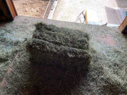 Bild 2:Ca. 100 Stk. Heu Kleinballen