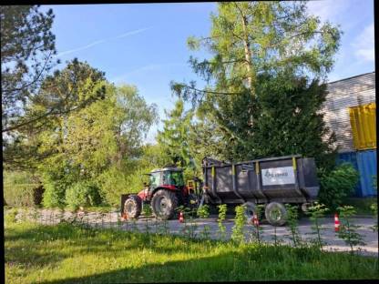 Bild 3:Baumfällung, Heckenschnitt uvm.