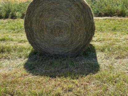 Heu, Rundballen, Pferdeheu