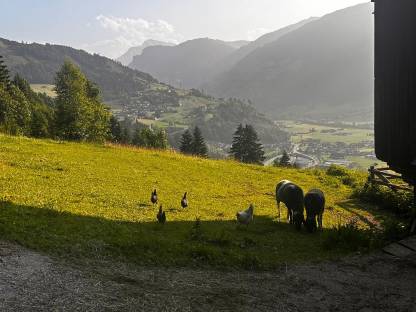 Bild 9:Neuer Preis! Einstellplatz für Pferd oder Pony