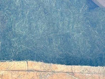 Bild 2:Verkaufe Kleinheuballen, 1. und 2. Schnitt