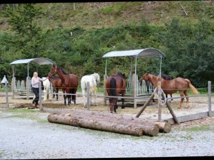 Bild 6:Einstellplätze frei