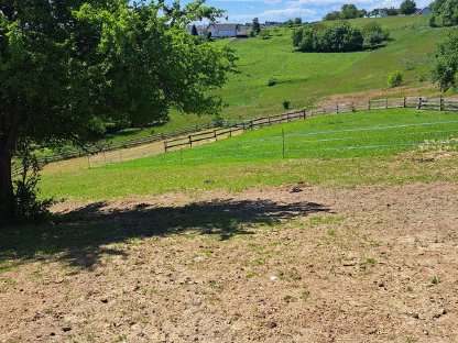 Bild 6:Einstellplatz (Offenstall)