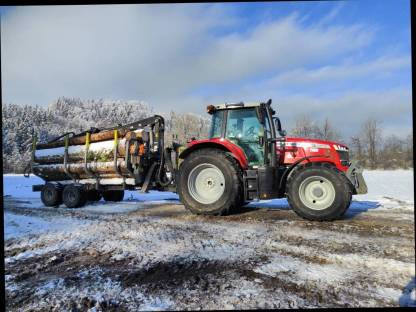 Bild 4:Baumfällung, Heckenschnitt uvm.