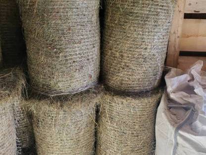 Bild 2:Kleine Heu-Rundballen