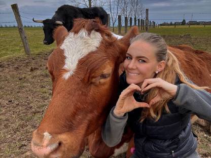 Bild 5:Einstellplatz / Offenstall