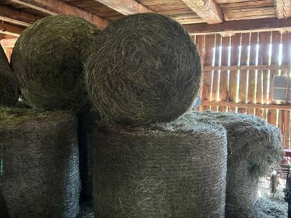 Bild 2:Berg-Heuballen