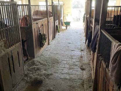 Bild 3:Einstellplätze frei