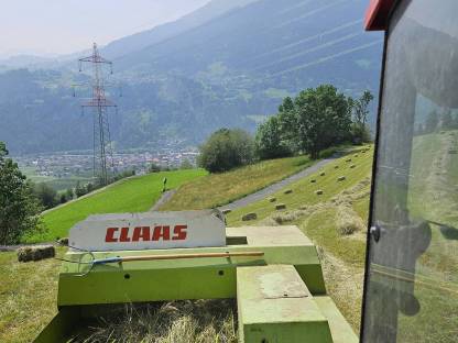 Bild 2:Heu Bergheu Kleinballen für Pferde