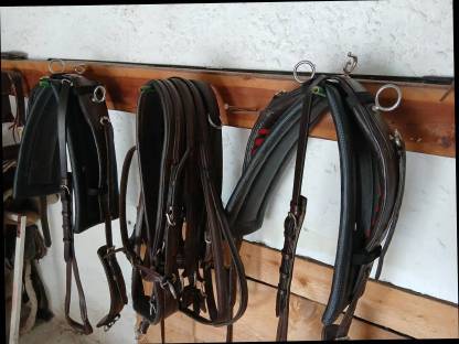 Bild 8:Trainingswagen