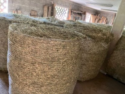 Bild 2:Heu Rundballen 1. Schnitt 2025