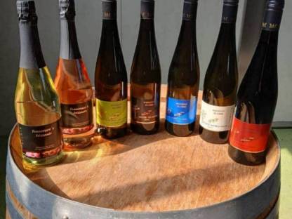 Weine Wagram DAC 0,75 l Jahrgang 2023