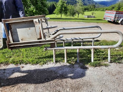 Bild 2:Zuchtsauenstand